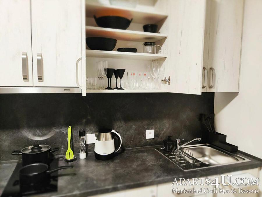 Apartment Stilvoll Marianske Lazne