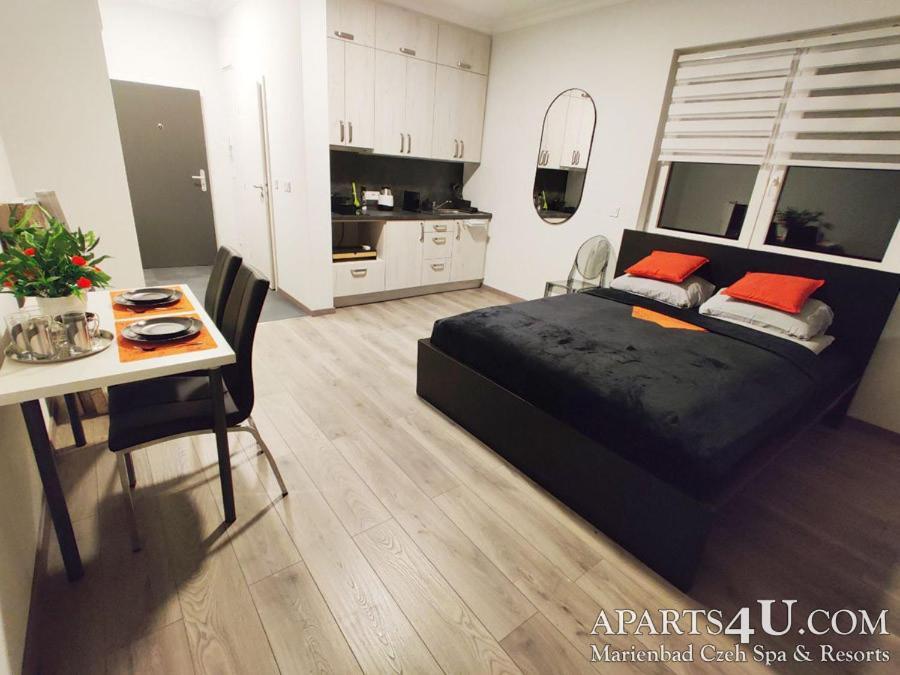 Stilvoll Apartment Marianske Lazne